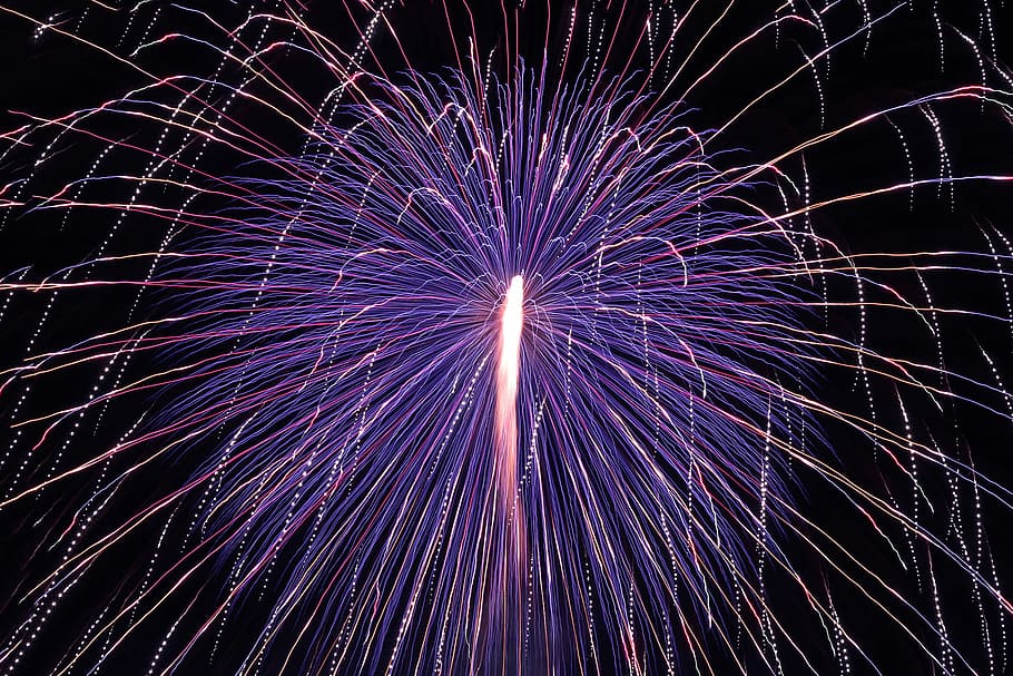 purple firecracker fireworks, night, celebration, exploding, firework Display