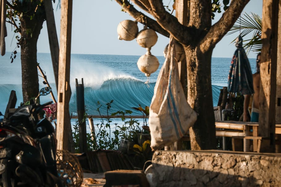 cottage near ocean waves during daytime, gray hanging sack on tree beside body of water HD wallpaper