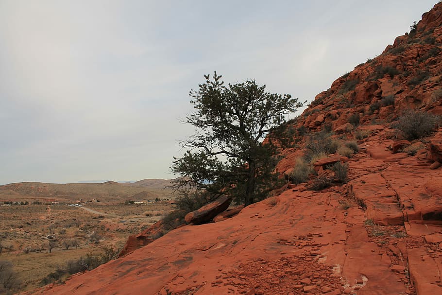 Red Rocks, Las, Vegas, Nevada, Canyon, desert, hiking, landscape, HD wallpaper