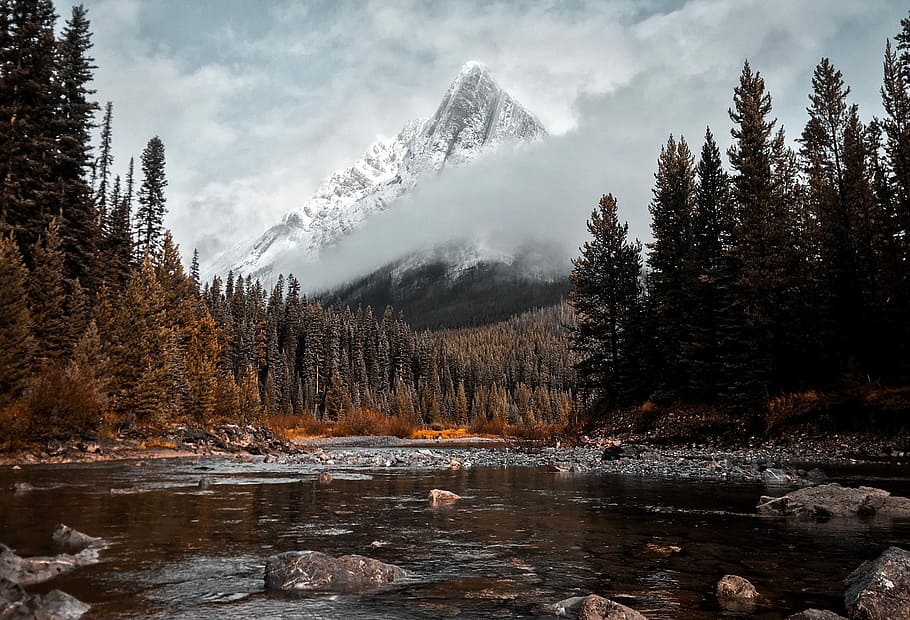 river surrounded with tall trees and mountain alp at distance, National Park HD wallpaper