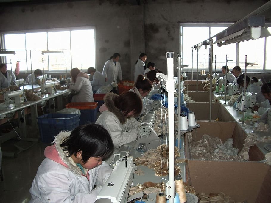 sewer inside factory, Worker, Sewing, Machine, People, industry HD wallpaper