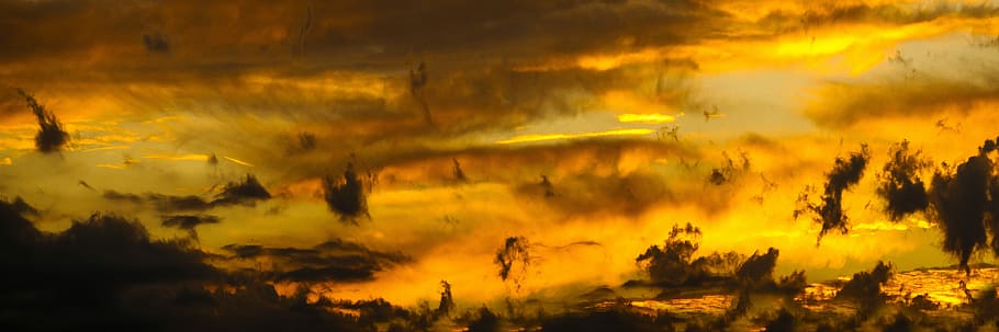 photo of a sunset with trees and clouds, nature, sky, cloudy HD wallpaper