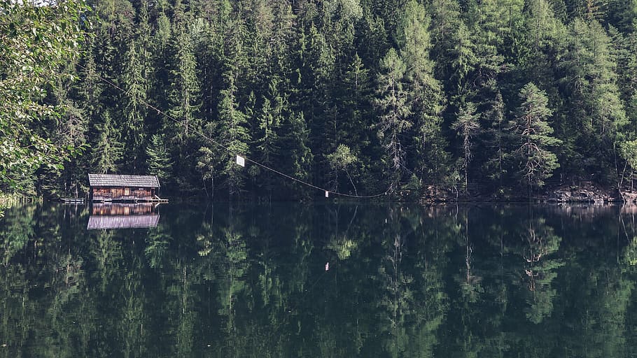 cabin on body of water surrounded by trees, landscape, photography HD wallpaper