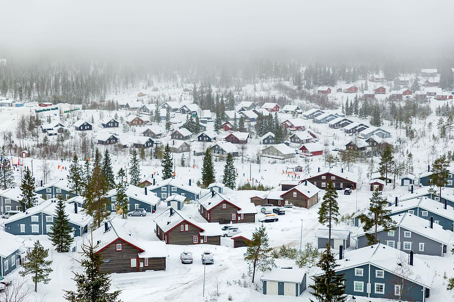 houses sorrounding snow, cold, cottages, fog, gray, trees, villages, HD wallpaper