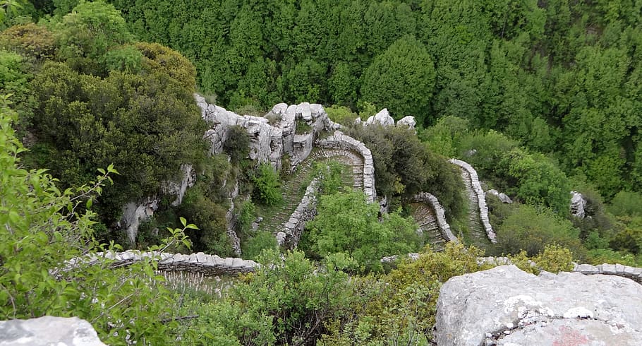vikos gorge, greece, epirus, pindus, hiking, plant, tree, rock HD wallpaper