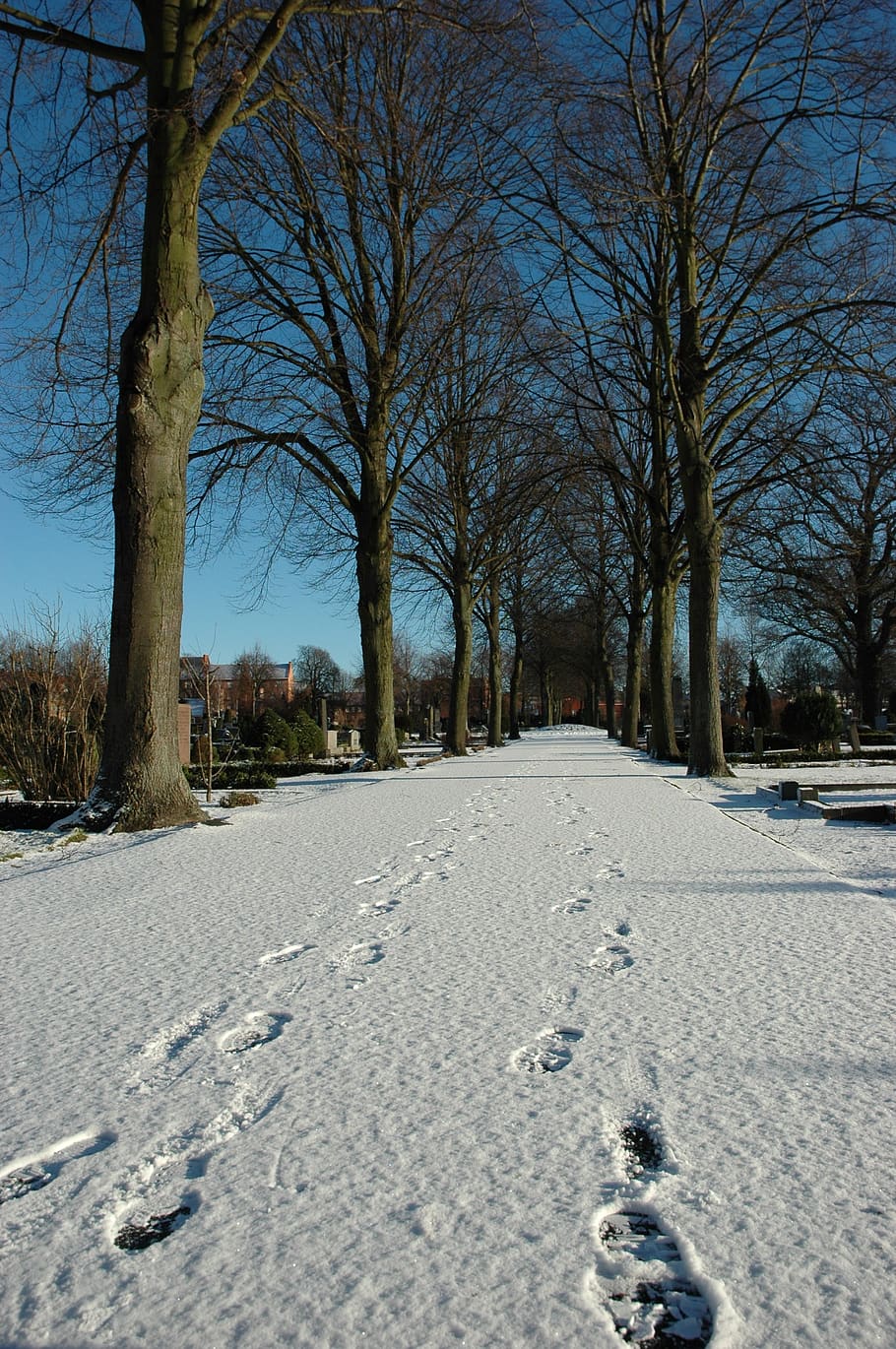 snow, footstep, winter, cold, trace, ice, outdoor, footprint HD wallpaper