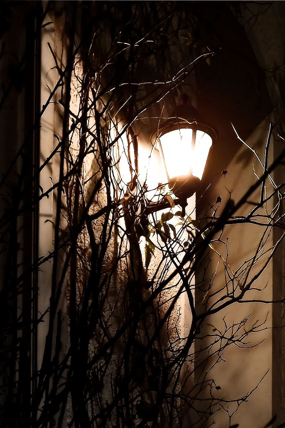 Lamp, Atmosphere, Light, Evening, romantic, night, dark, window HD wallpaper