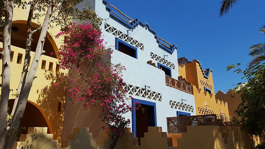 architecture, egypt, house, nature, building exterior, plant HD wallpaper