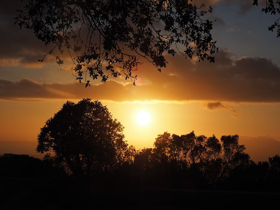 sunset, passage, evening, romantic, romance, clouds, yellow HD wallpaper