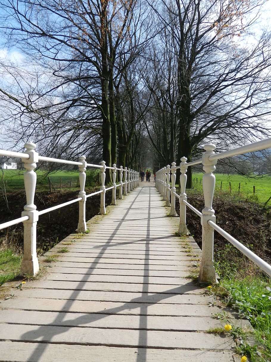 bridge, pathway, nature, road, tree, the way forward, direction HD wallpaper