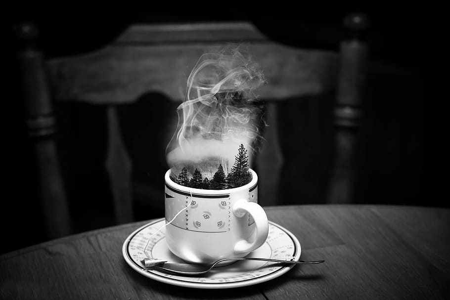 white and black ceramic mug with pine tree and smoke photography HD wallpaper