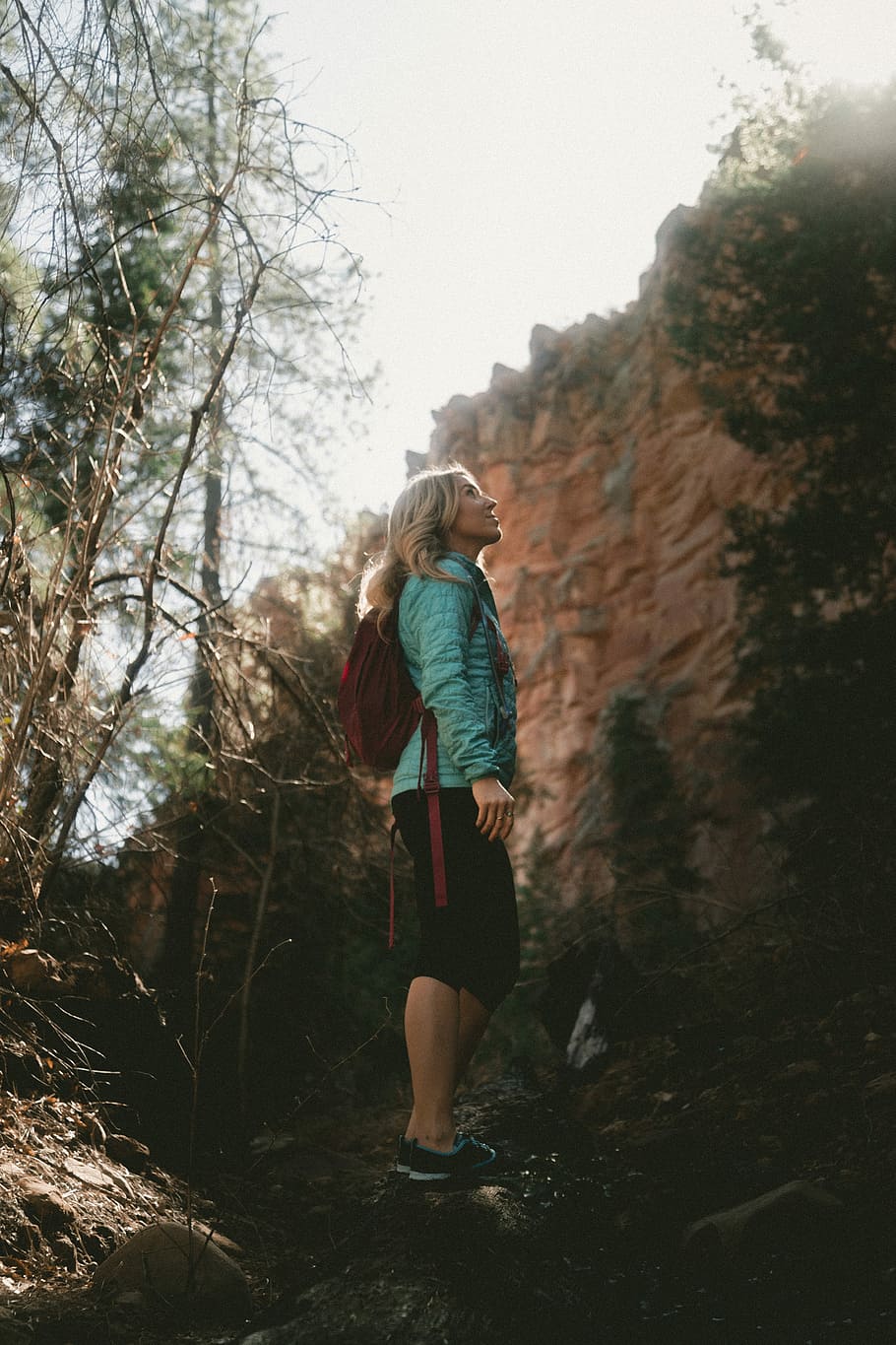 woman looking up on green trees, woman standing between trees HD wallpaper