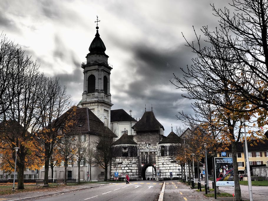 baseltor, solothurn, st ursus cathedral, nave, cathedral of st urs und viktor, HD wallpaper
