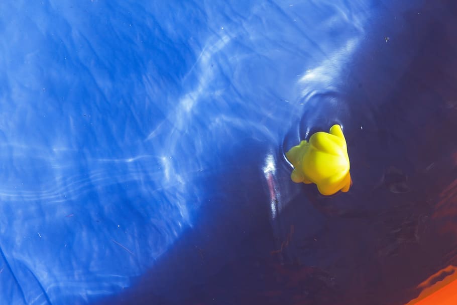 Pool, Duck, Yellow, Swim, Water, summer, fun, sunny, swimming pool HD wallpaper