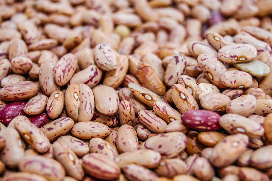 close-up photography of beans, raw, red, food, plant, food and drink HD wallpaper