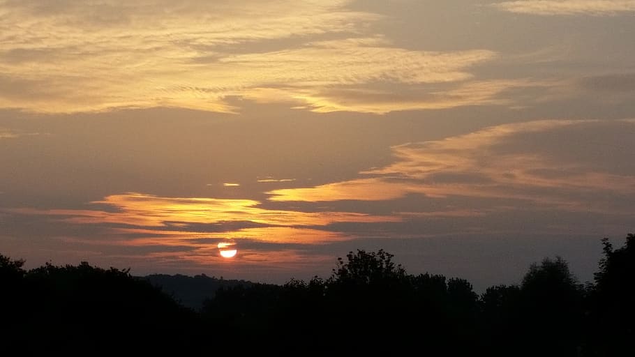 coucher, de, soleil, tree, sky, beauty in nature, sunset, tranquility HD wallpaper