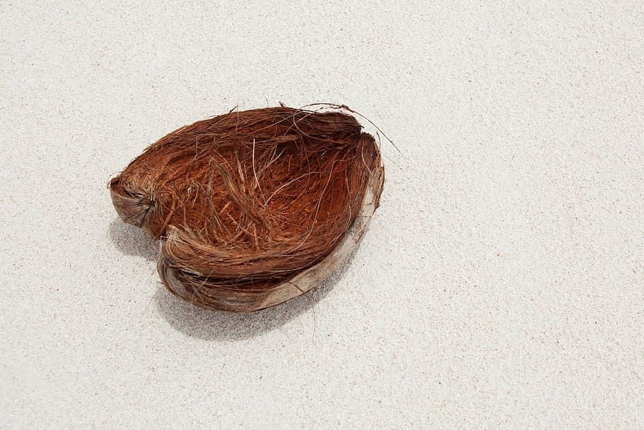 coconut, skin, sand, beach, exotic, nature, object, texture HD wallpaper