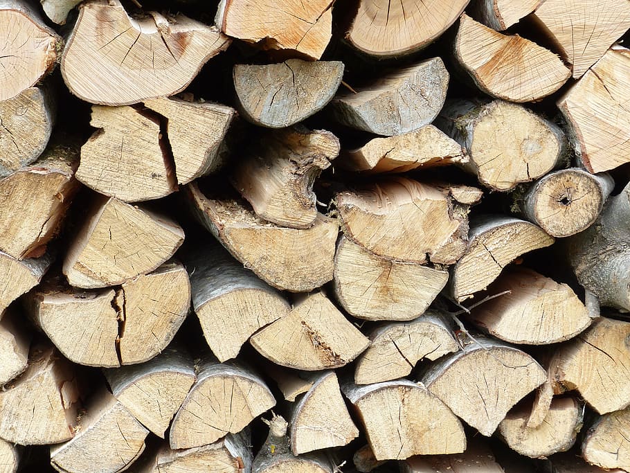 Wood, Structure, Texture, Background, tree, log, forest, wood texture HD wallpaper