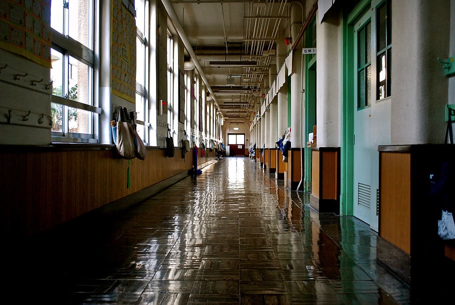 empty building hallway, photo of empty hallway, clear, pathway HD wallpaper