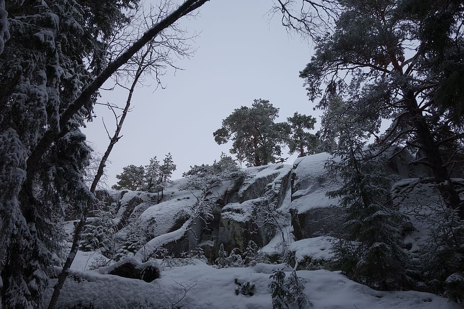 winter forest, rock, snow, rocks, landscape, hill, tourism HD wallpaper
