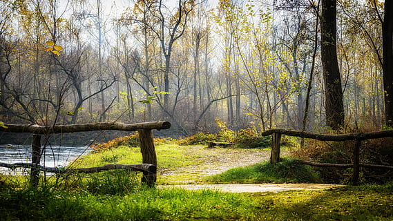 brown handrails near green grass during daytime, autumn, bridge HD wallpaper