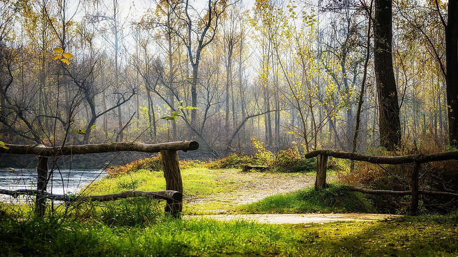 brown handrails near green grass during daytime, autumn, bridge HD wallpaper