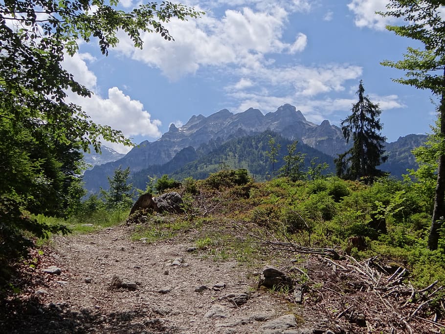 alpine, mountains, forest, hiking, clouds, idyll, cloud - sky HD wallpaper