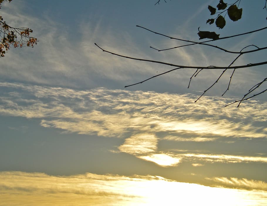 cloud, heart, himmel, sunset, cloud - sky, beauty in nature HD wallpaper