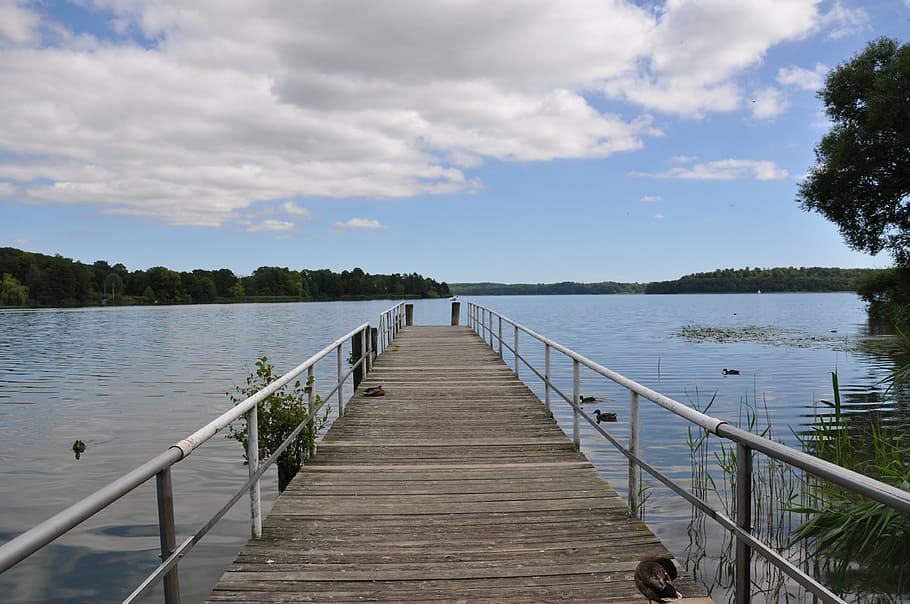 web, lake, pond, water, jetty, dock, silent, waters, rest, outlook HD wallpaper