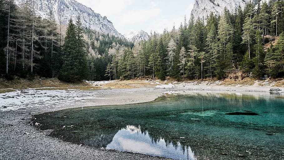 Mountains, Trees, and Lake in Gruner See, Austria, forest, photos