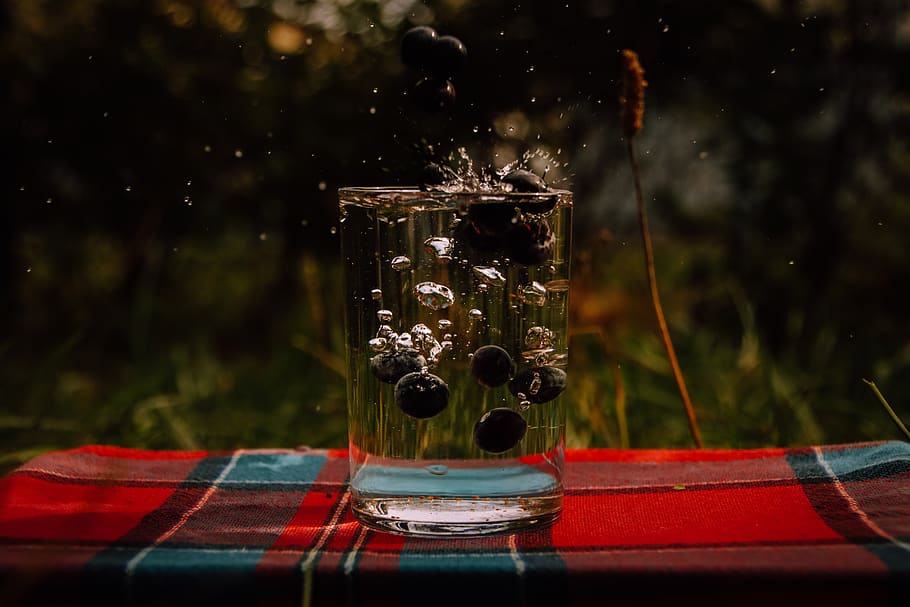 water, berries, cup, collapse, glass - material, transparent HD wallpaper