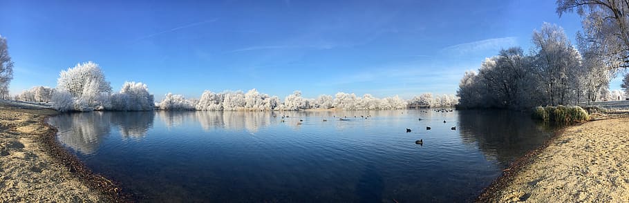 panorama, waters, nature, reflection, lake, kassel, sky, animal wildlife HD wallpaper