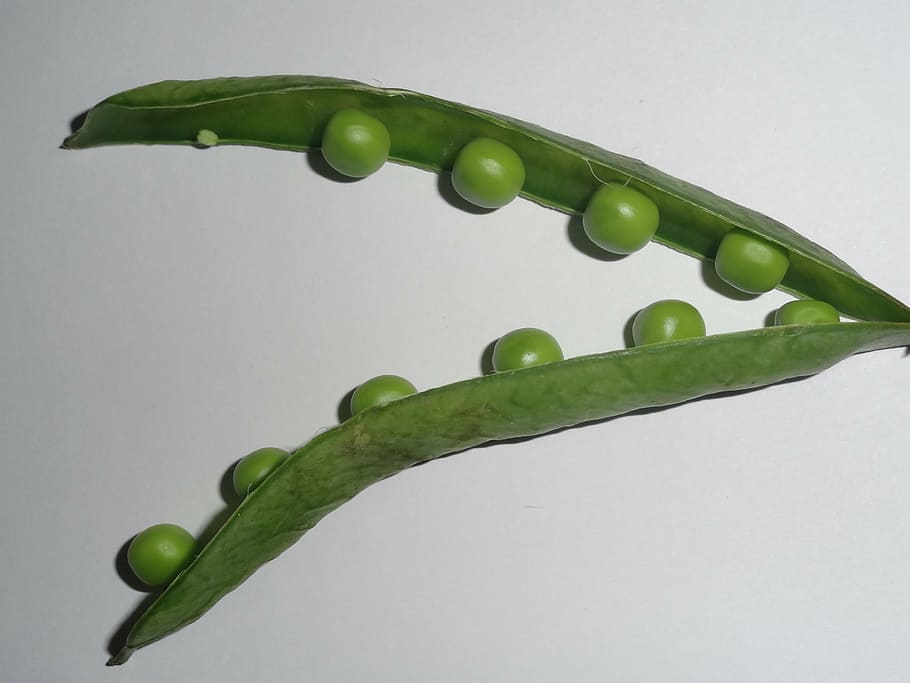 peas, vegetables, green, fresh, opened, seed, studio shot, green color HD wallpaper