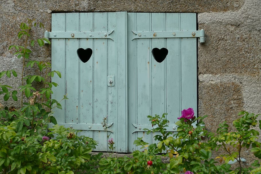liège, window, close, facade, heart, love, flora, door, built structure HD wallpaper