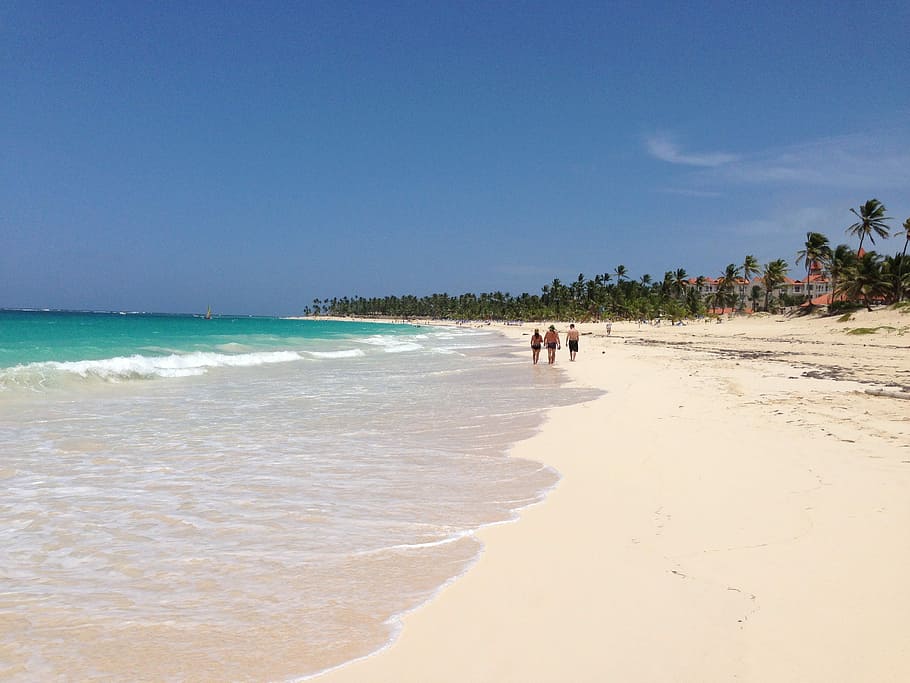 people at the seashore, Punta Cana, Beach, Ocean, Sand, Palm, HD wallpaper