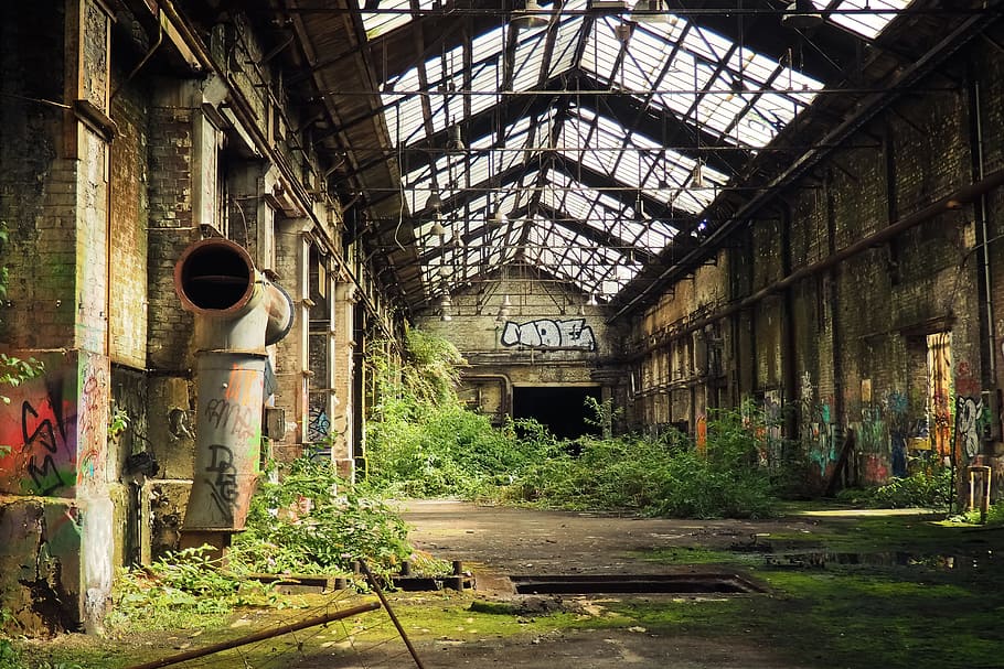 photo of green leaf plants inside brown abandoned building, lost places