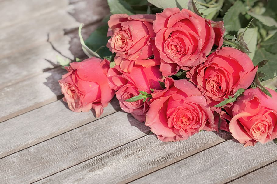pink roses on wood plank, flower, bouquet, petal, romance, love, HD wallpaper
