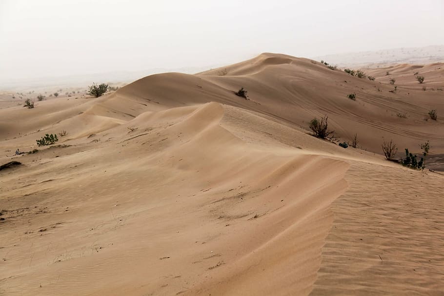 desert, sand, thin, dubai, sand dunes, u a e, dry, nature, landscape HD wallpaper