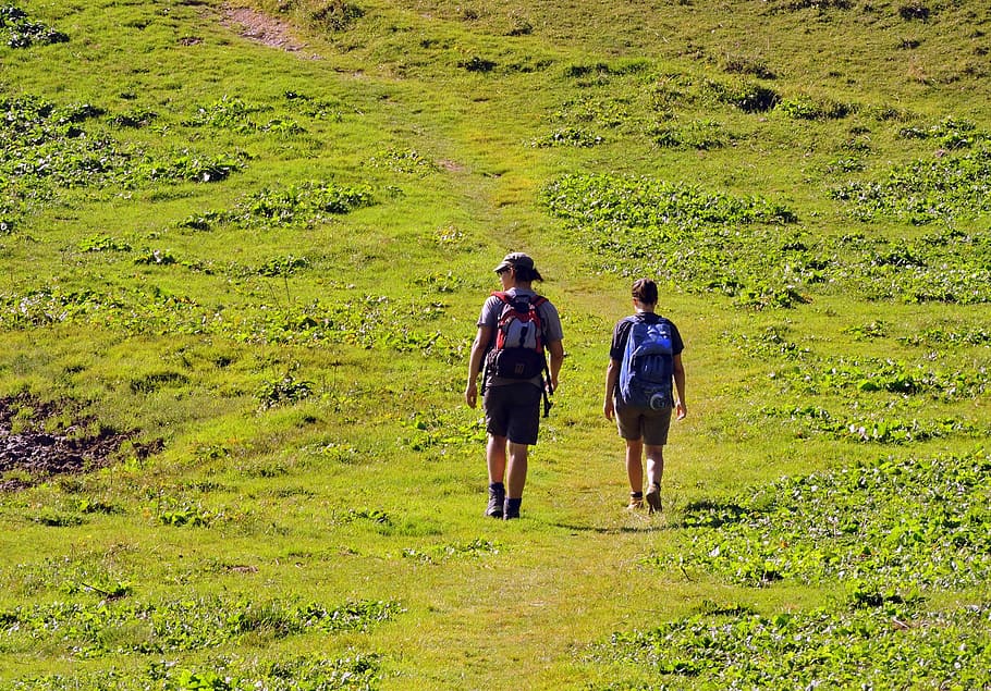 Hiking, Walk, Prato, Trail, Mountain, italy, green, nature HD wallpaper