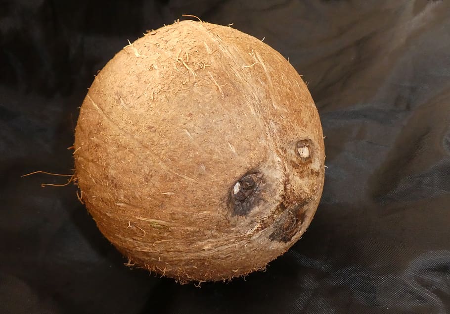 coconut, face, art, close-up, food and drink, fruit, healthy eating HD wallpaper