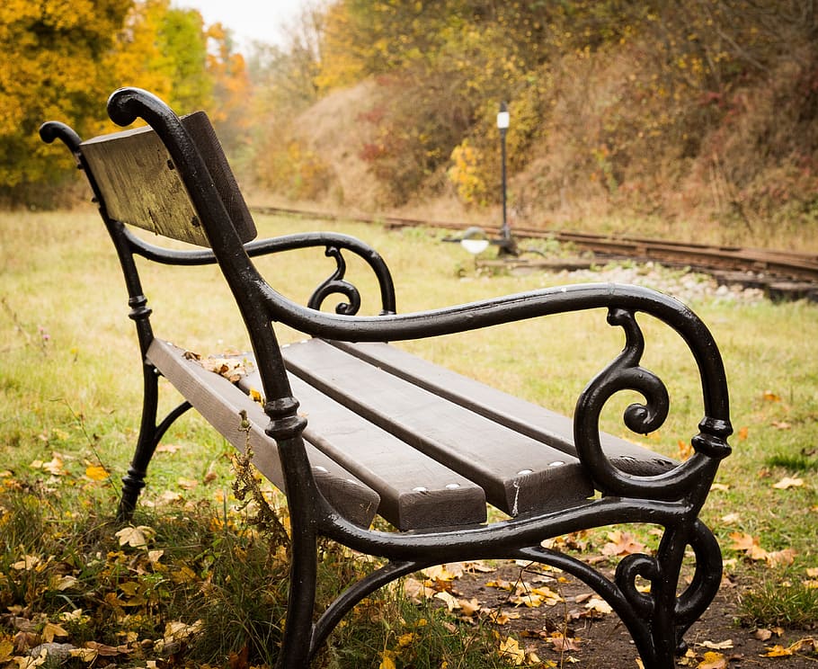 gray bench surrounded with trees, session, sit, seat, park HD wallpaper