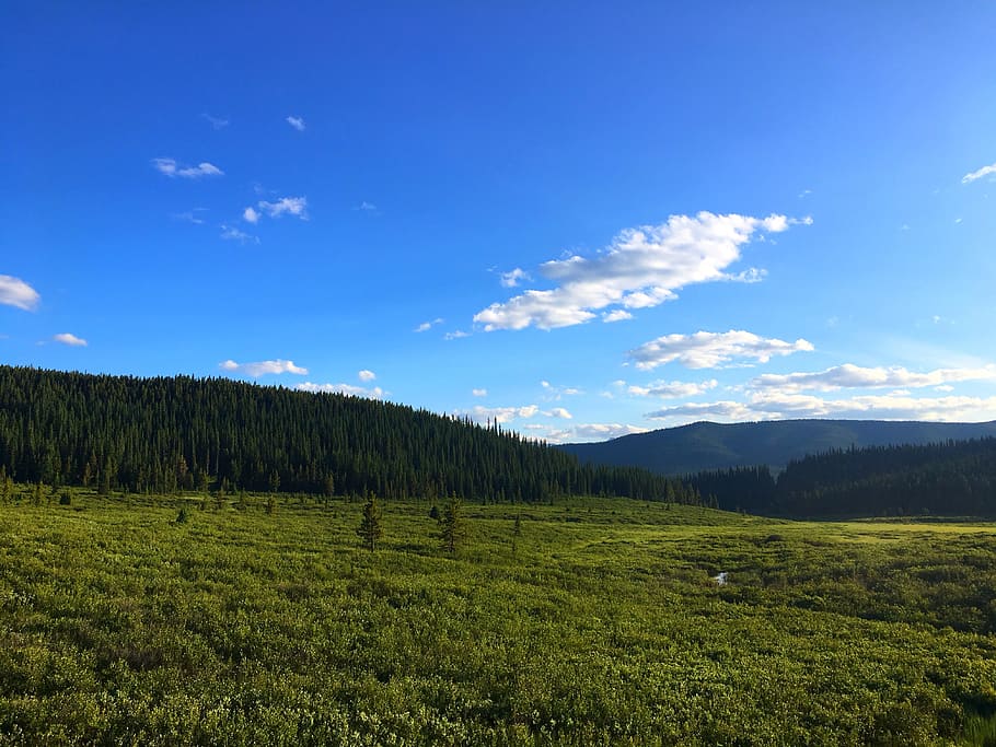 sun, mountains, summer, landscape, nature, sky, outdoor, sunny HD wallpaper
