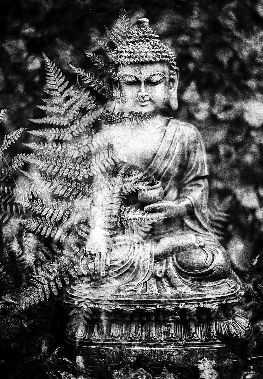 buddha, leaf, religion, statue, buddhist, oriental, buddhism HD wallpaper