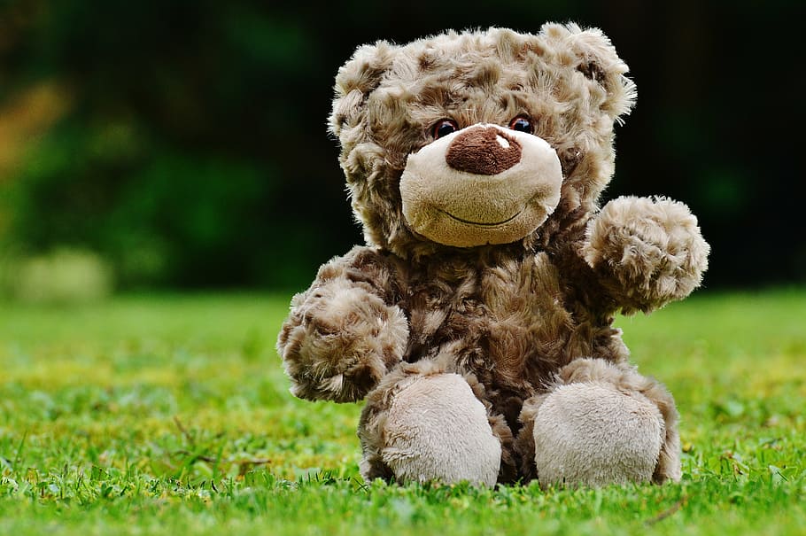 brown bear plush toy on the green grass field, teddy, soft toy, HD wallpaper