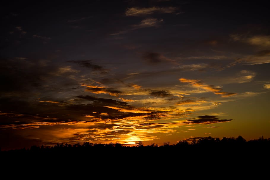 HD wallpaper: silhouette of trees during golden hour, sunset, evening ...