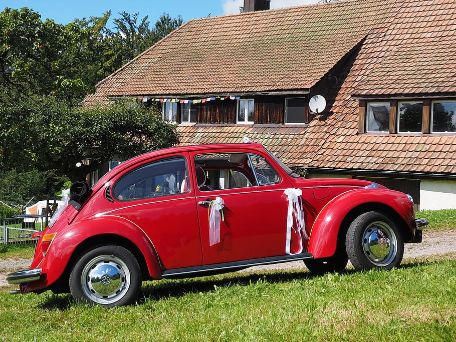 Vw Beetle, Bridal, Car, Auto, Oldtimer, bridal car, vehicle HD wallpaper