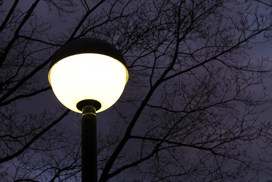 street lamp, pathway lighting, artificial light, night, lantern HD wallpaper
