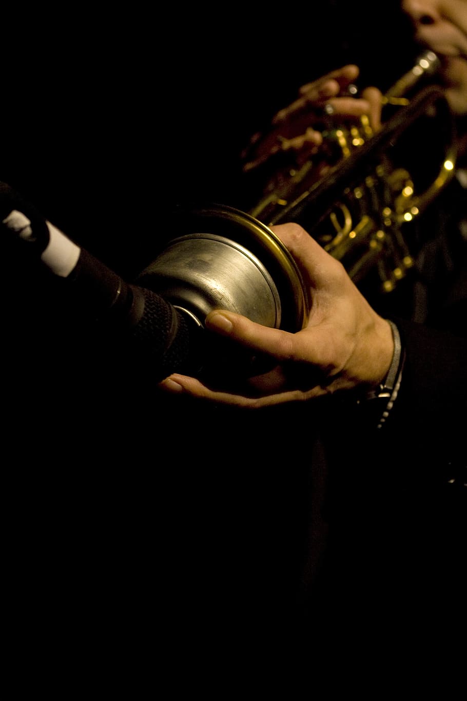 Hd Wallpaper Person Holding Brass Musical Instrument Trumpet Jazz Live Wallpaper Flare