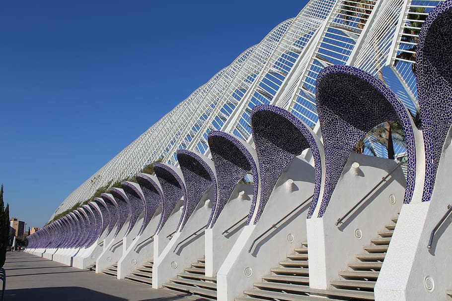 architectural photography of building, valencia, spain, night HD wallpaper