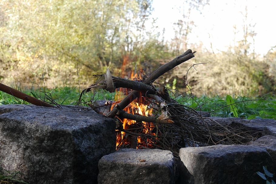 fire, barbecue, campfire, burning, flame, log, heat - temperature HD wallpaper